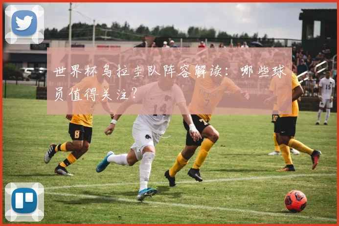 世界杯乌拉圭队阵容解读：哪些球员值得关注？