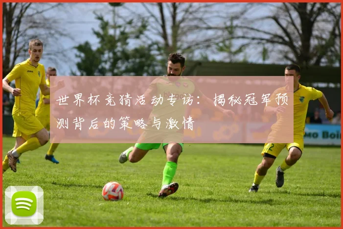世界杯竞猜活动专访：揭秘冠军预测背后的策略与激情