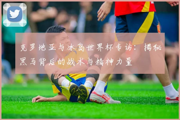 克罗地亚与冰岛世界杯专访：揭秘黑马背后的战术与精神力量
