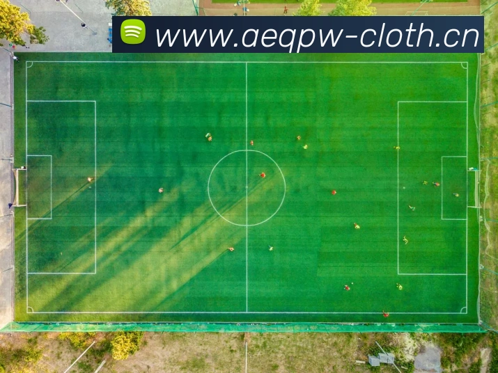 爱游戏app官方入口网站发展历程